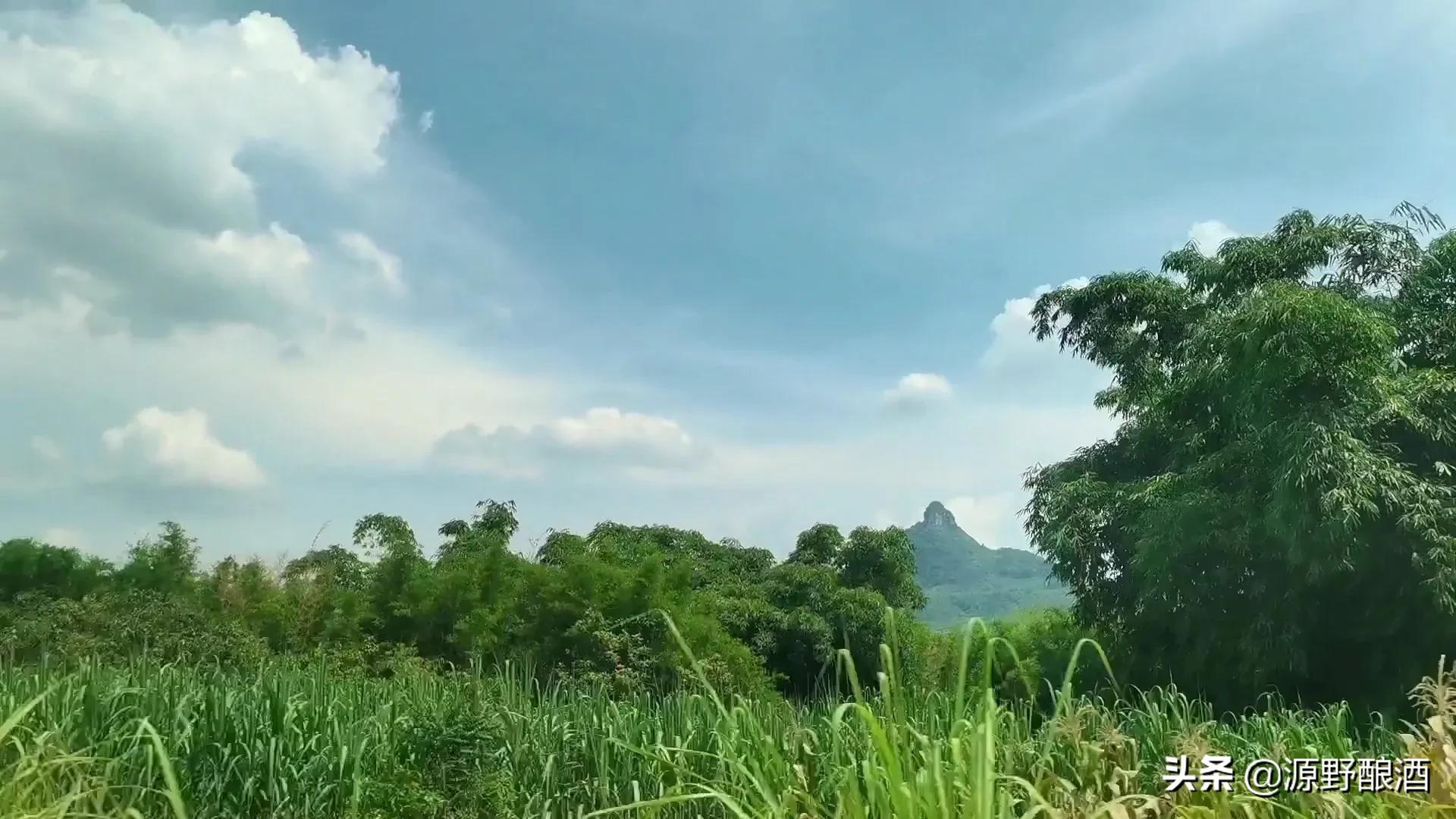 怎么提升白酒的口感和质量,提升纯粮酒口感有哪些方法