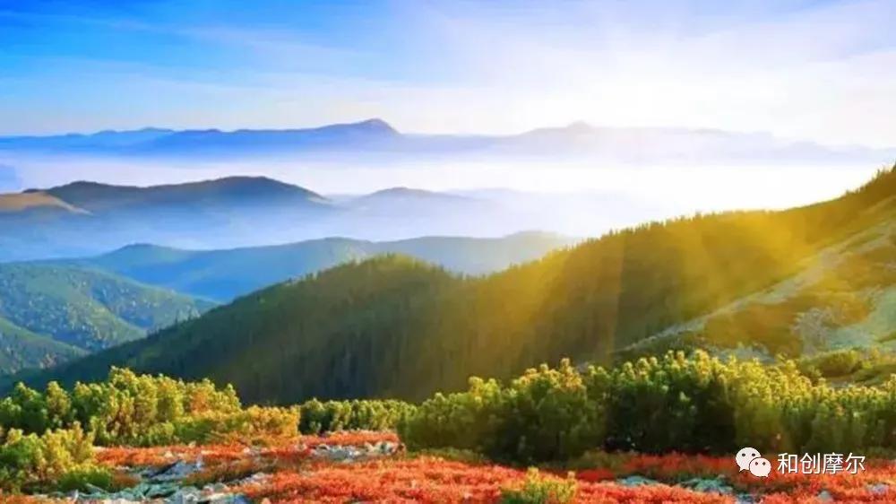 积极探索村集体经济发展模式,探索农村集体经济联合社模式