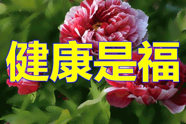 放疗有百分之几概率能治好,放疗做一期有意义吗