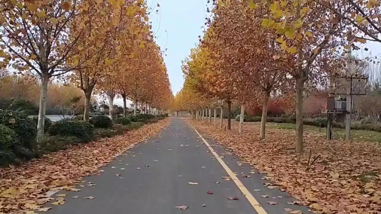 美国足球世界杯中国对阵伊朗,足球世界杯伊朗队对战美国队直播