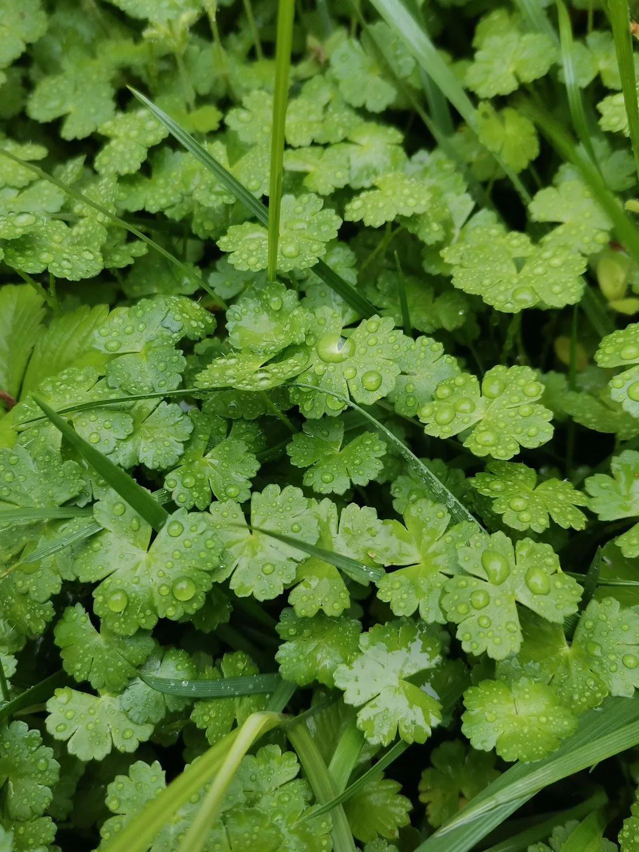 工业互联网大赛,工业互联网平台