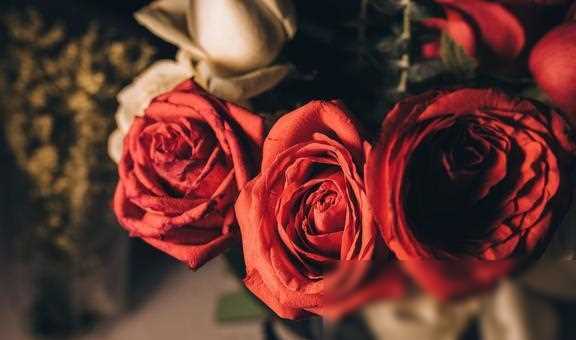 一点小事就过分生气烦躁？你需要学会情绪控制法