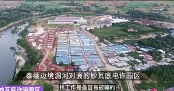 如何看待留学生在日本失踪的问题,中国留学生在日本失踪