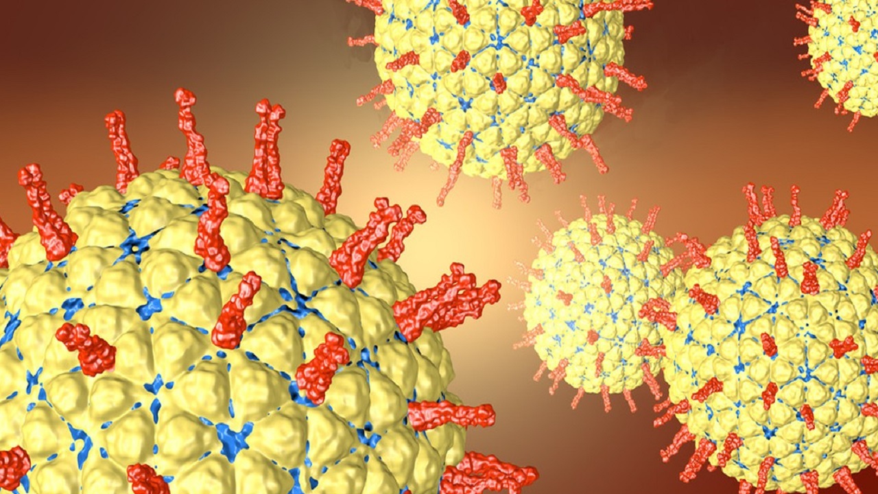 宝宝又吐又拉稀又发烧怎么解决,秋季腹泻发烧怎么办