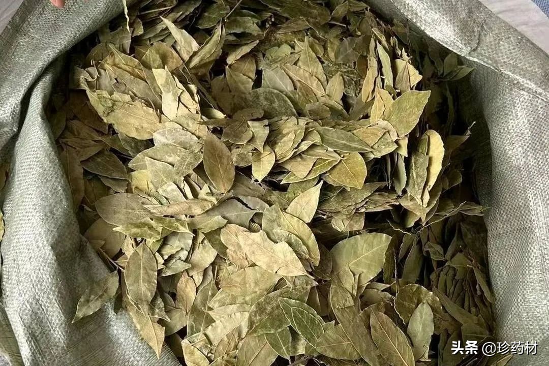 紫苏叶胖大海甘草,胖大海罗汉果麦冬紫苏叶