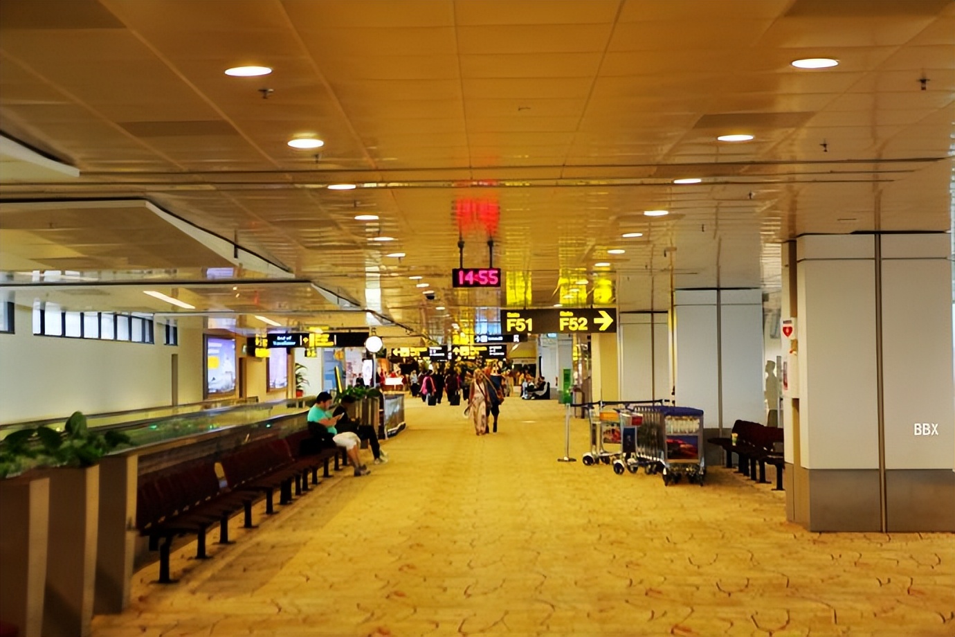 新加坡樟宜机场的仙人掌花园,新加坡最美机场在哪个航站楼