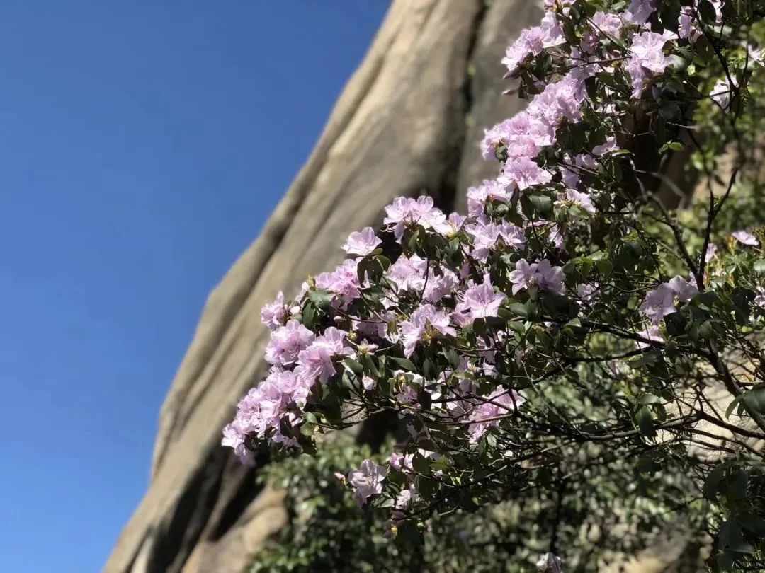 【上饶文旅周报202321】“5·19”中国旅游日，来大美上饶，趣游一夏！