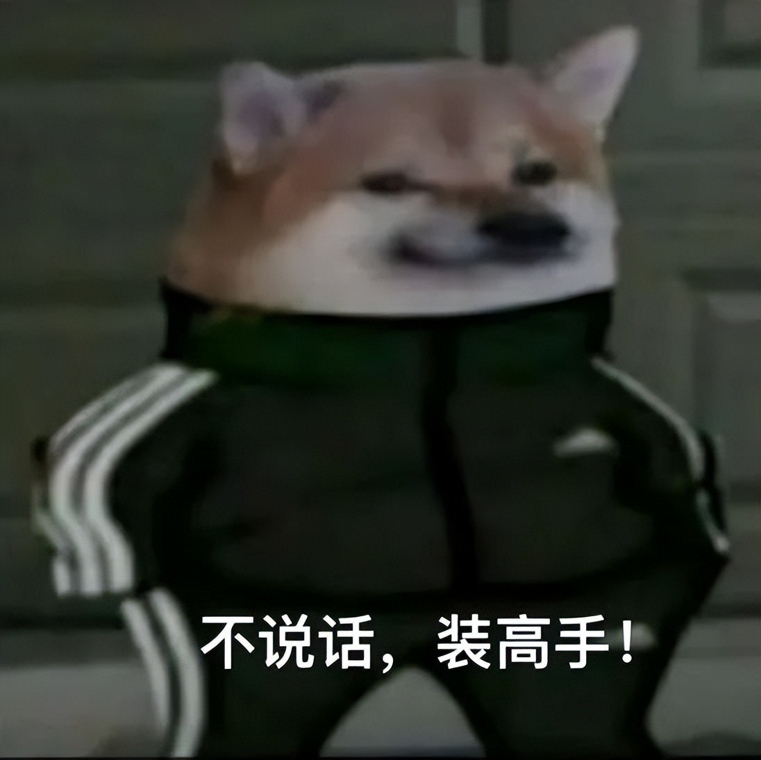 别傻了,不管你买哪支球队赢“*彩博**公司”都稳赚