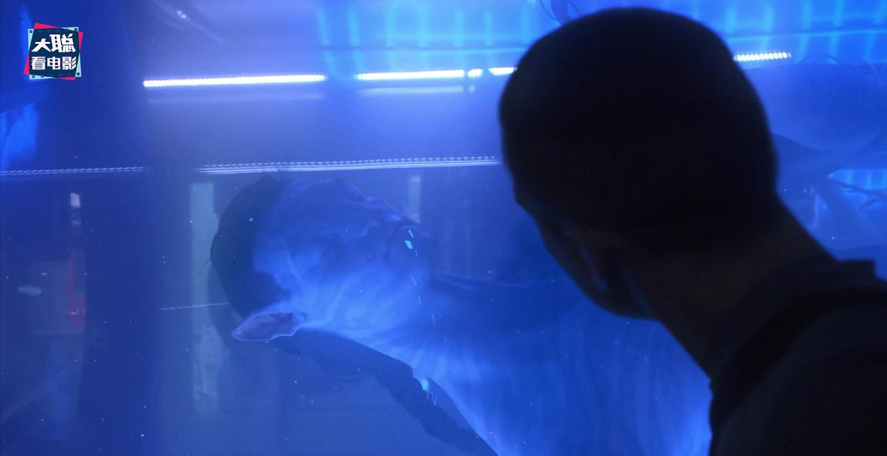 阿凡达细节讲解,阿凡达2全过程讲解