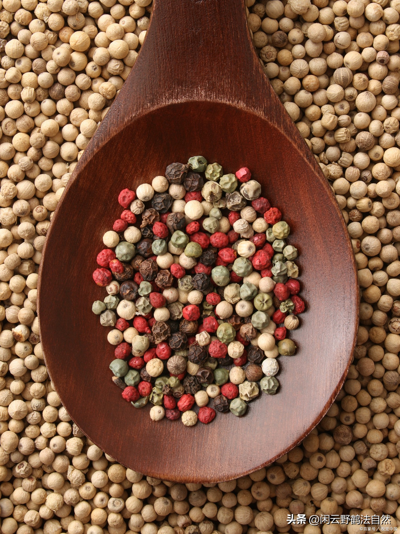 胡椒做菜用处,胡椒炒菜的用途