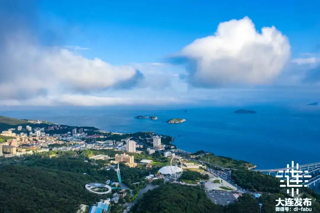 大连投资招商,大连投资落地