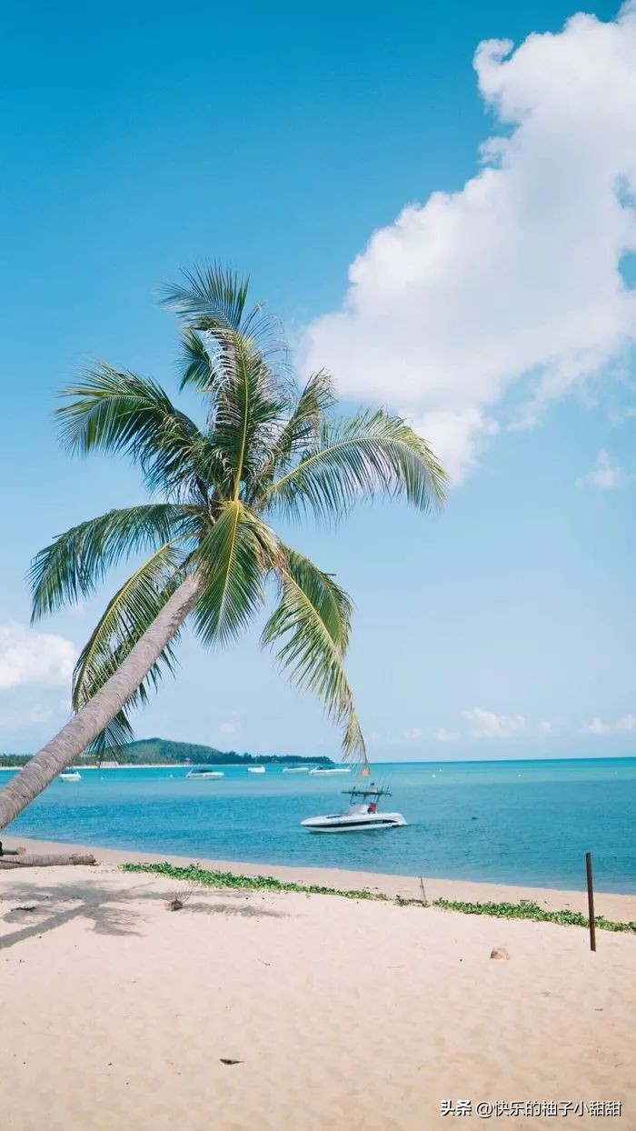 中国最美的十座海滨城市你都去过哪里,中国最美的十座海滨城市