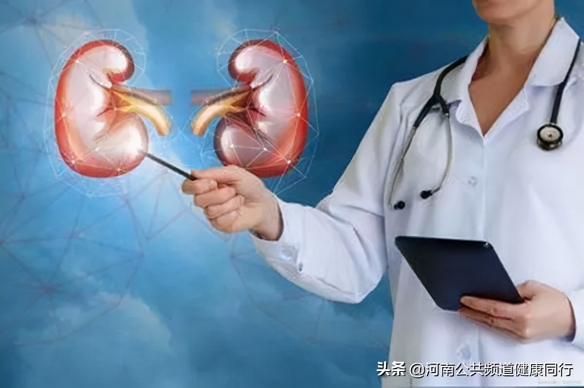 体检发现“肾囊肿”？不要怕，带你解密它