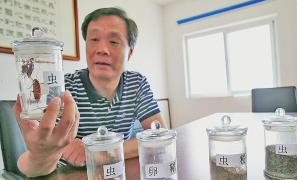 餐厨垃圾养殖蟑螂怎么拿补贴,山东养殖蟑螂解决餐厨垃圾