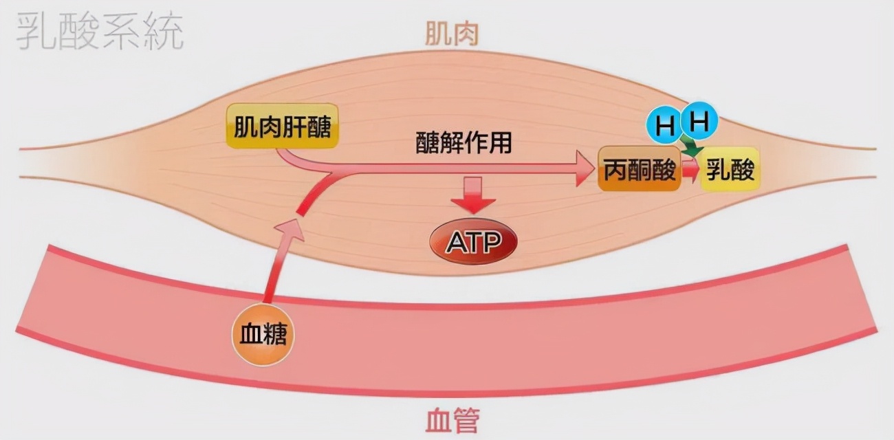 妙啊!5分钟缓解肌肉酸痛