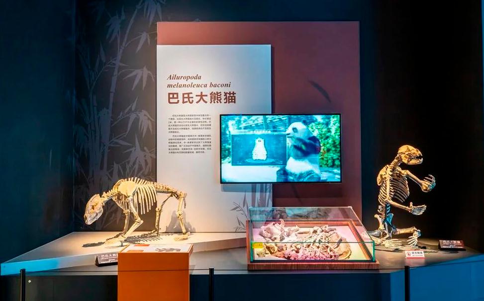 重庆自然资源科普馆要门票不,重庆自然资源科普馆一共几个馆