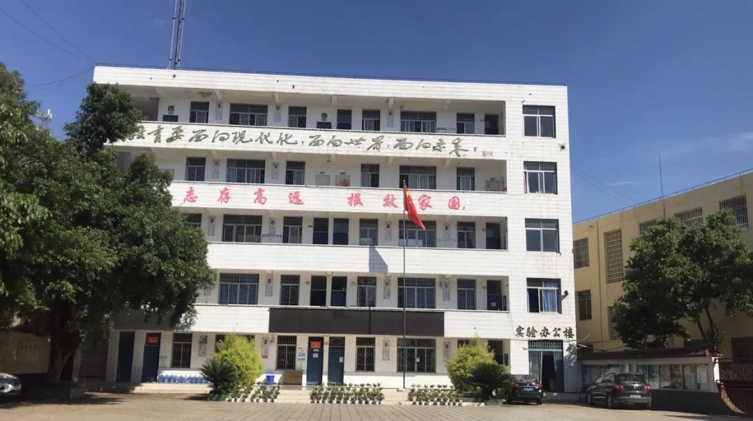 我记忆中的母校真的很美好吗,我回忆在学校读书的时候