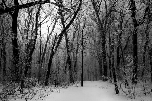 静夜思古诗诗意是什么,静夜思古诗诗意及注释