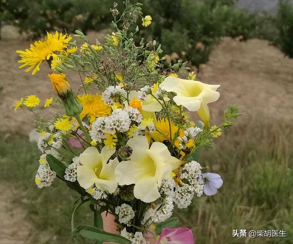 国医大师治尿频尿急,国医大师治前列腺尿频尿急