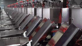 潜江龙虾是什么意思,潜江龙虾特点是什么