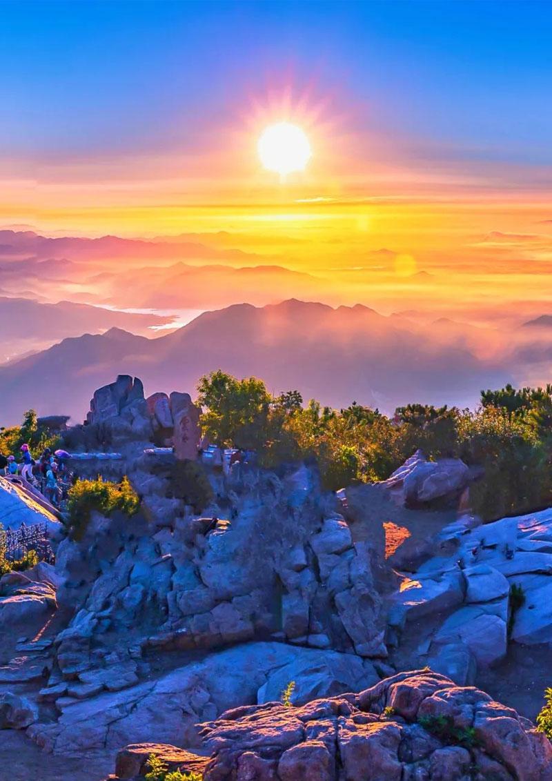 微信农场功能怎么开通,微信农场怎么玩