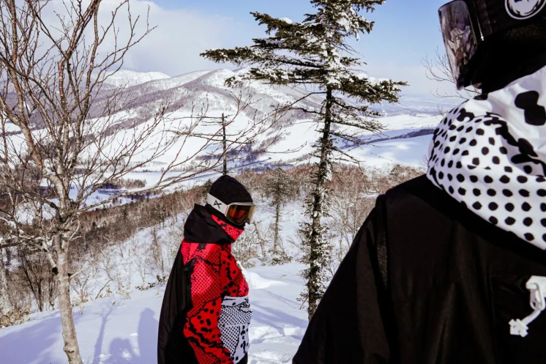 tnf羽绒服都有什么款,tnf羽绒服选什么版