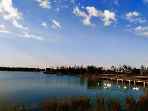 河南省卫辉市,河南卫辉是哪