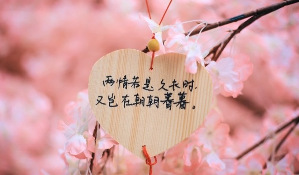 金星复婚：18年分居，重燃旧爱火花