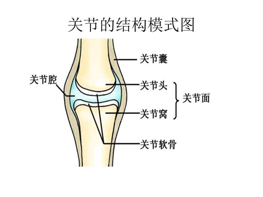 掰手指关节咔咔咔响有危害吗,手指掰得咔咔响后果有多严重