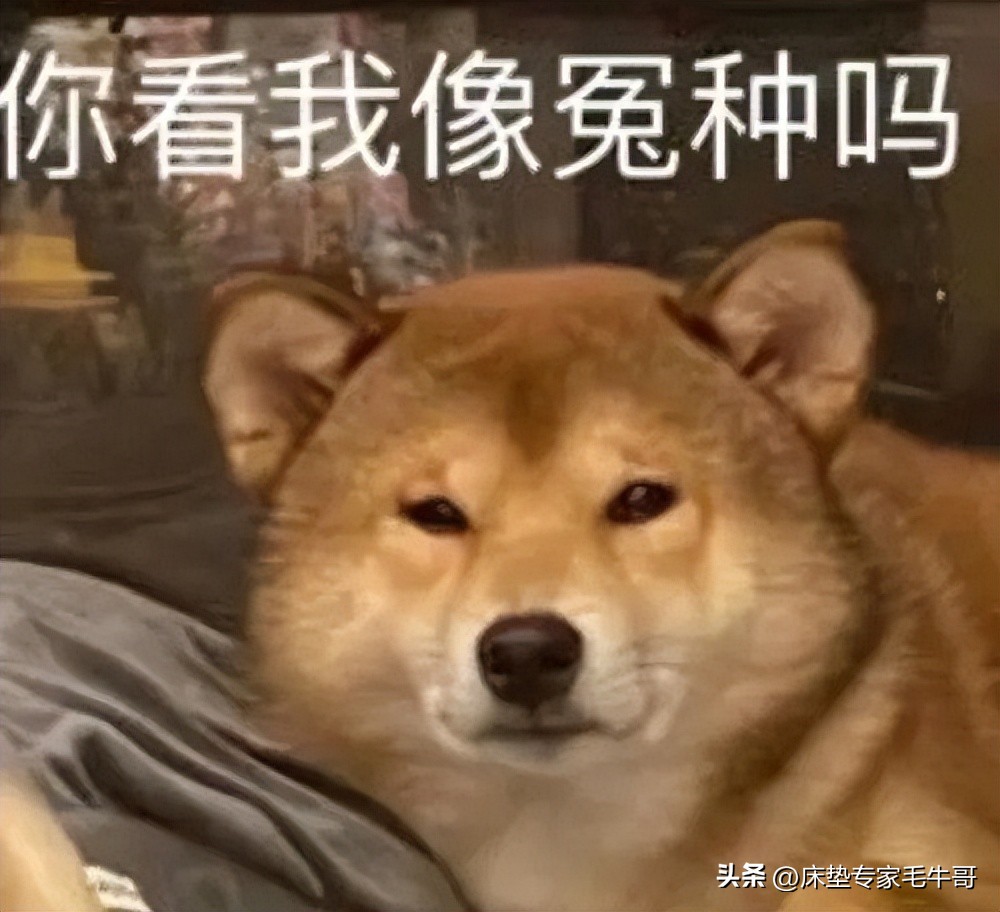 逛腻了美凯龙和居然之家，还有哪些性价比高的小众床垫品牌？