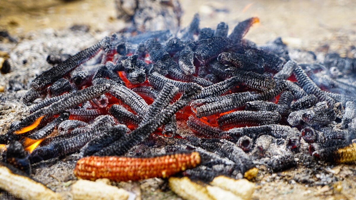 东北新婚夫妻和全家人睡炕,东北全家都睡一个土炕上