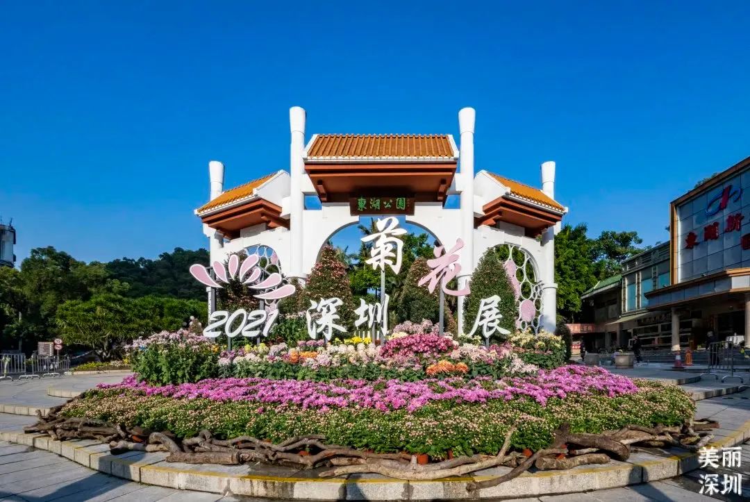 深圳最全红树林公园指南,深圳市最出名红树林湿地公园