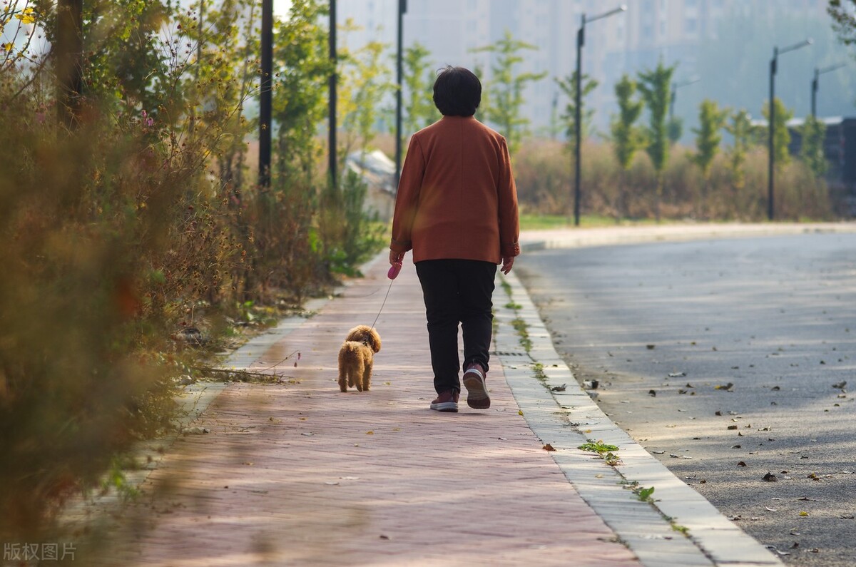 给女儿带孩子，月入3000，老伴儿怒甩10万存折，我愤怒拒绝！