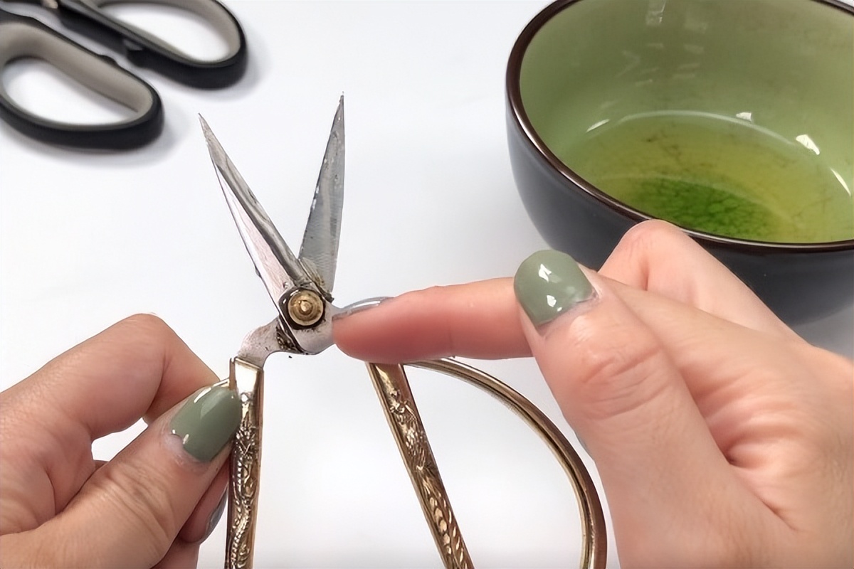 油烟机收集的废油大家怎么处理的,油烟机里的废油怎么处理可以浇花