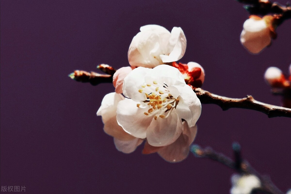 男人爱不爱你看你穿衣就知道,男人爱不爱你看他的态度就知道