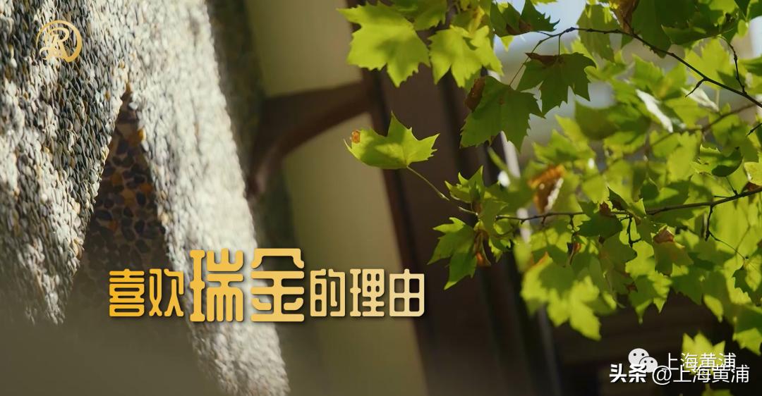 烟火气文艺范兼具,文艺范和烟火气