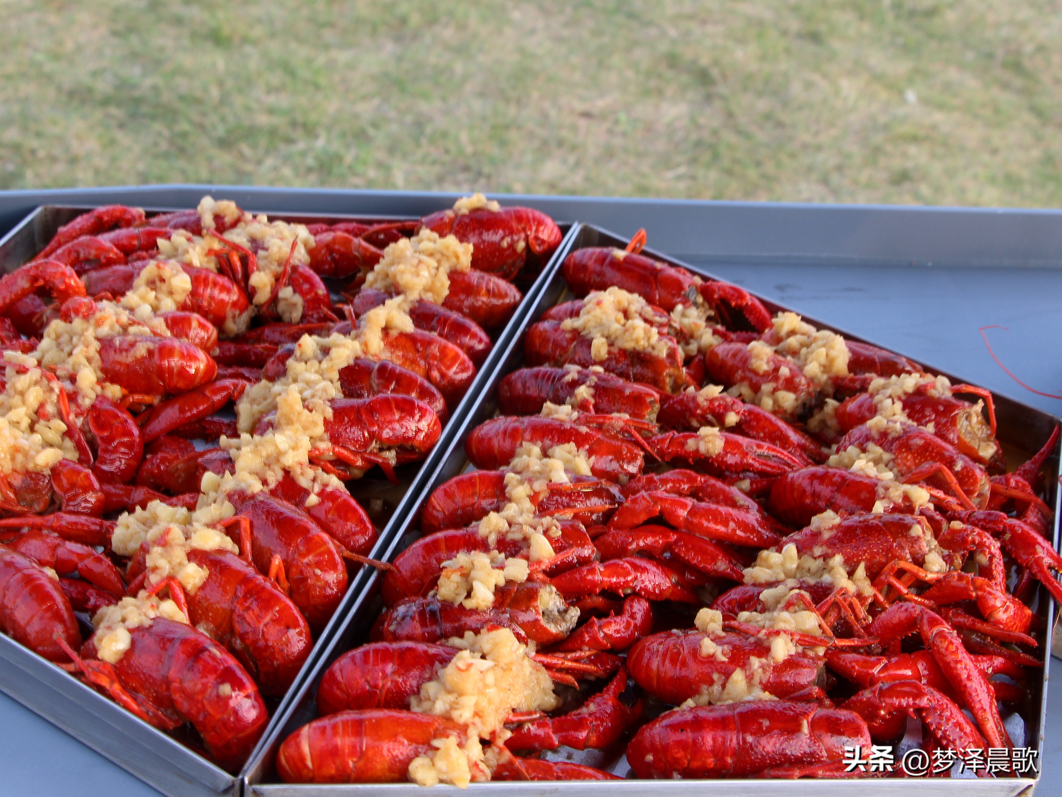 节日哪里去？醉美“伍湖四海”游人醉