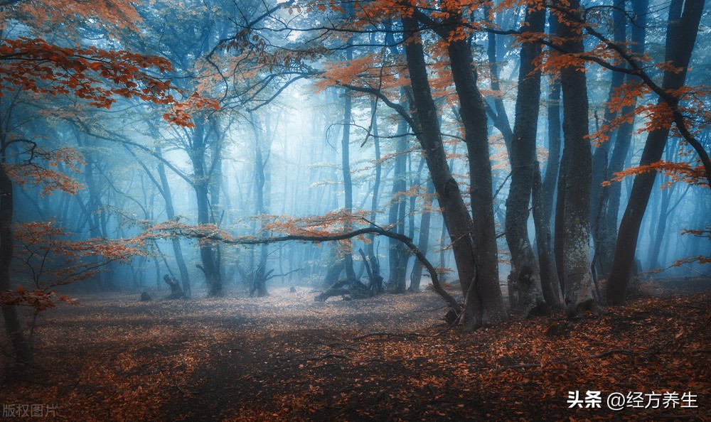 鏂板啝鍙樺紓姣掓牚鑵规郴澶氫箙,鏂板啝鍙樺紓姣掓牚涓轰粈涔堟媺鑲氬瓙