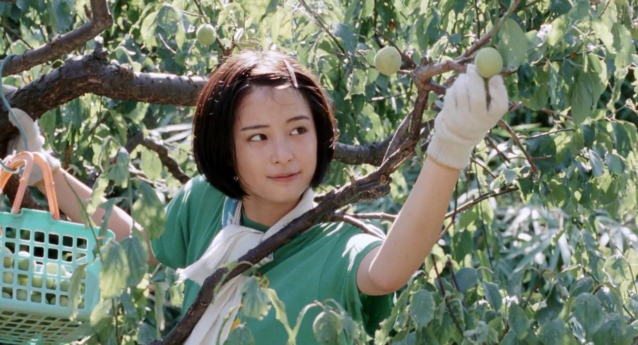 电影饮食男女做菜片段,电影饮食男女深度解析