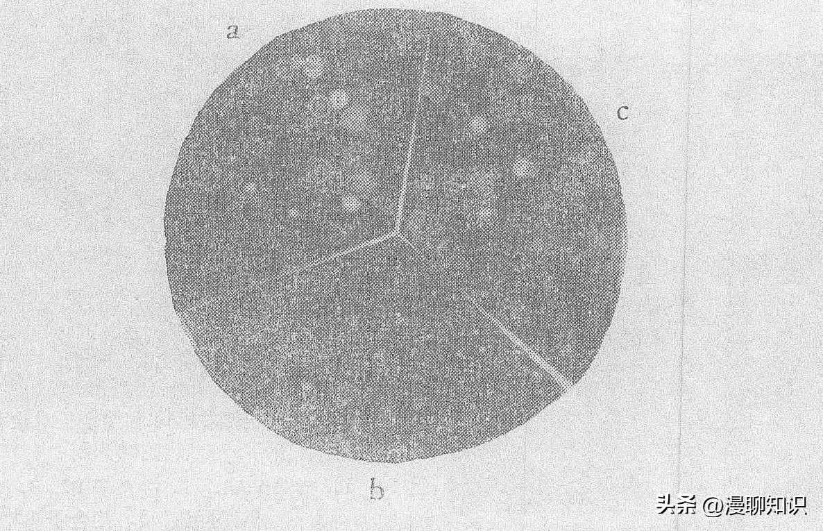 庆丰链霉菌是什么？关于它SQP1质粒的种间转移和表达