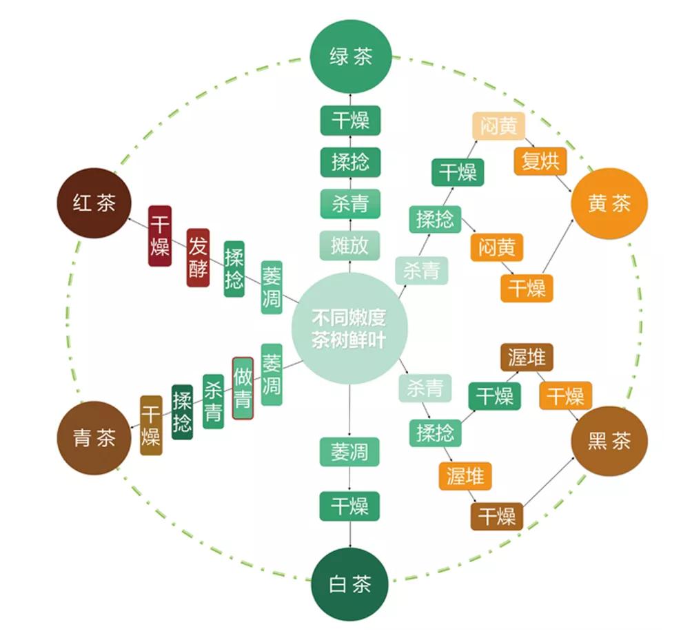 茶避坑,怎么避免买茶踩坑