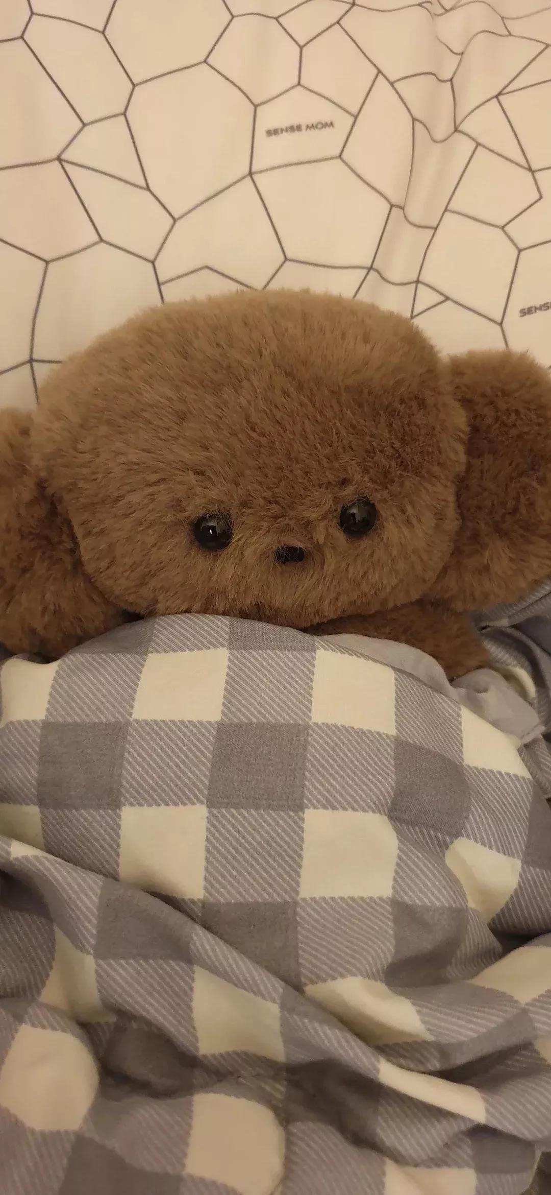 歼20高清壁纸4k全屏无水印,精选壁纸高清无水印高级感