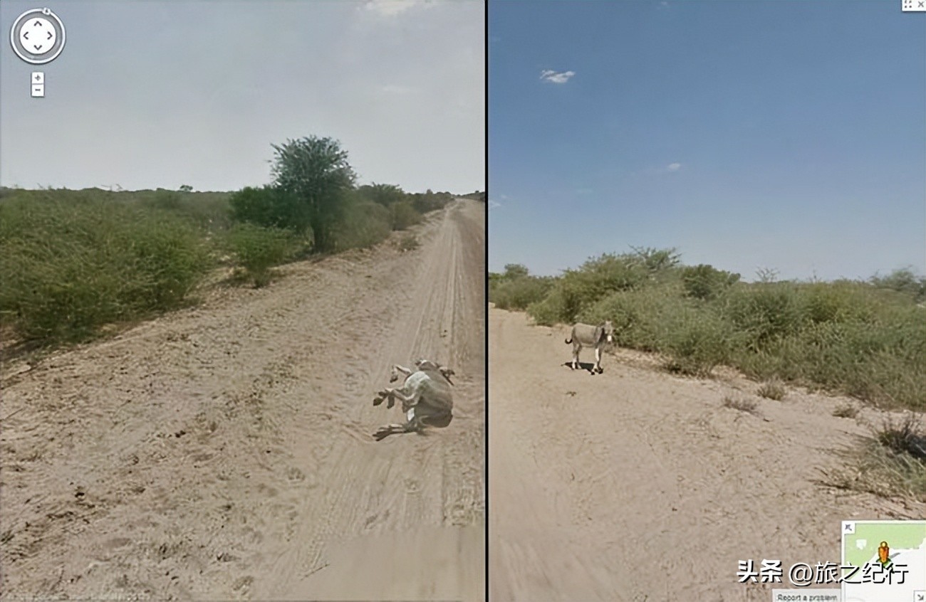 谷歌地图细思极恐拍出来的照片,谷歌地图发现的细思极恐图片
