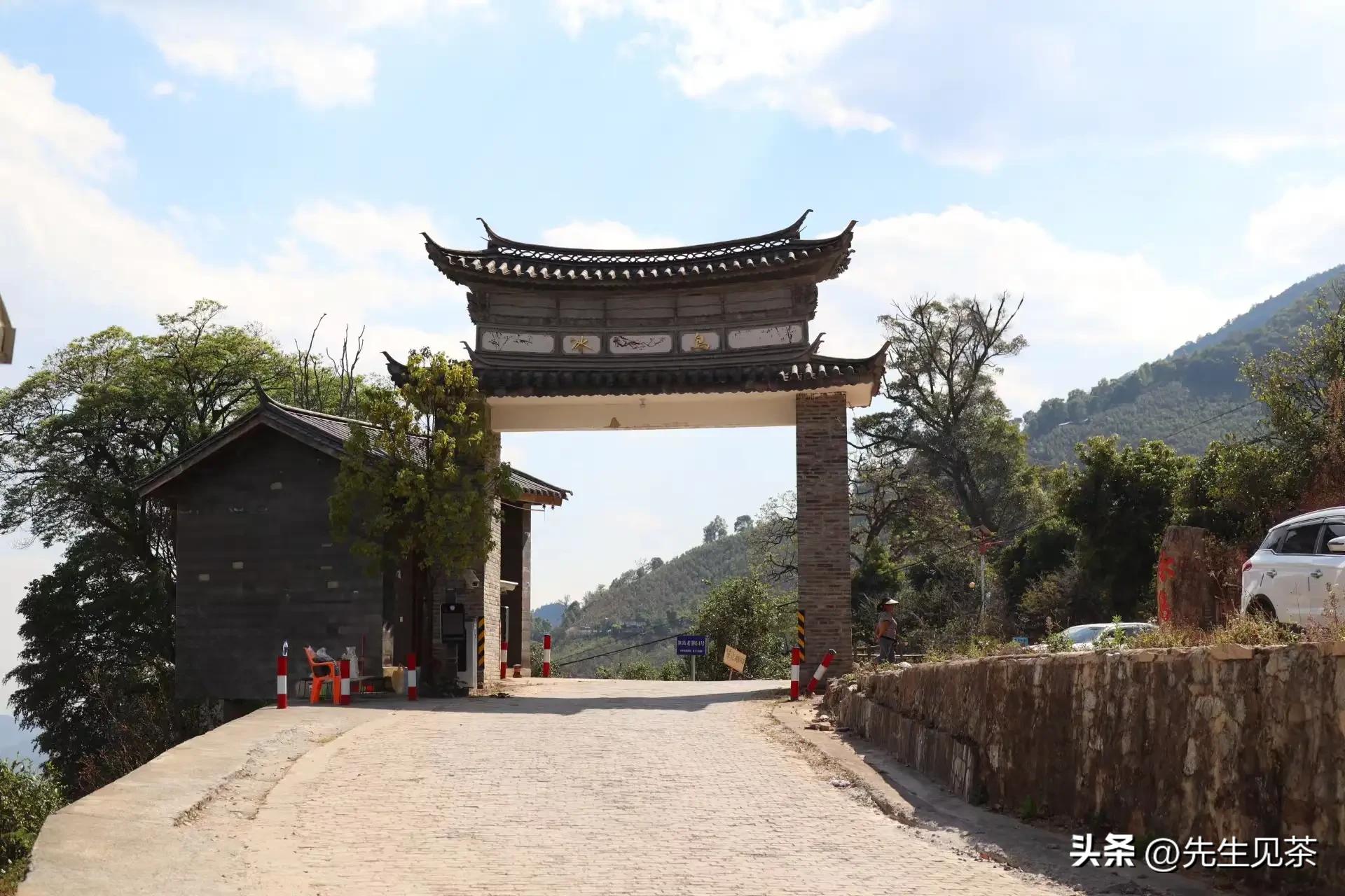 有人花168元买茶，有人花168万元包树，普洱茶出路在哪里？