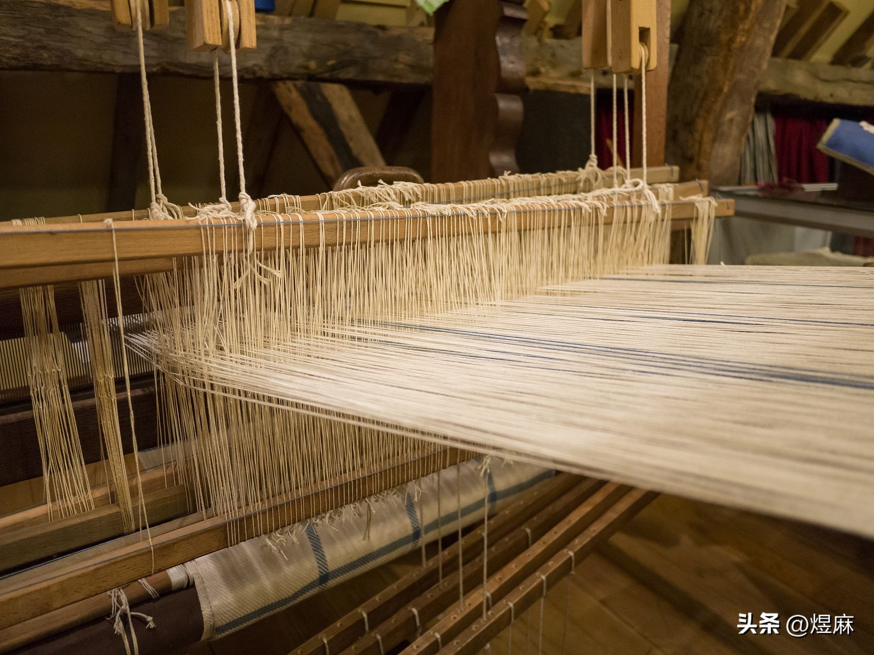 感性还是理性：选择煜麻的四个理由