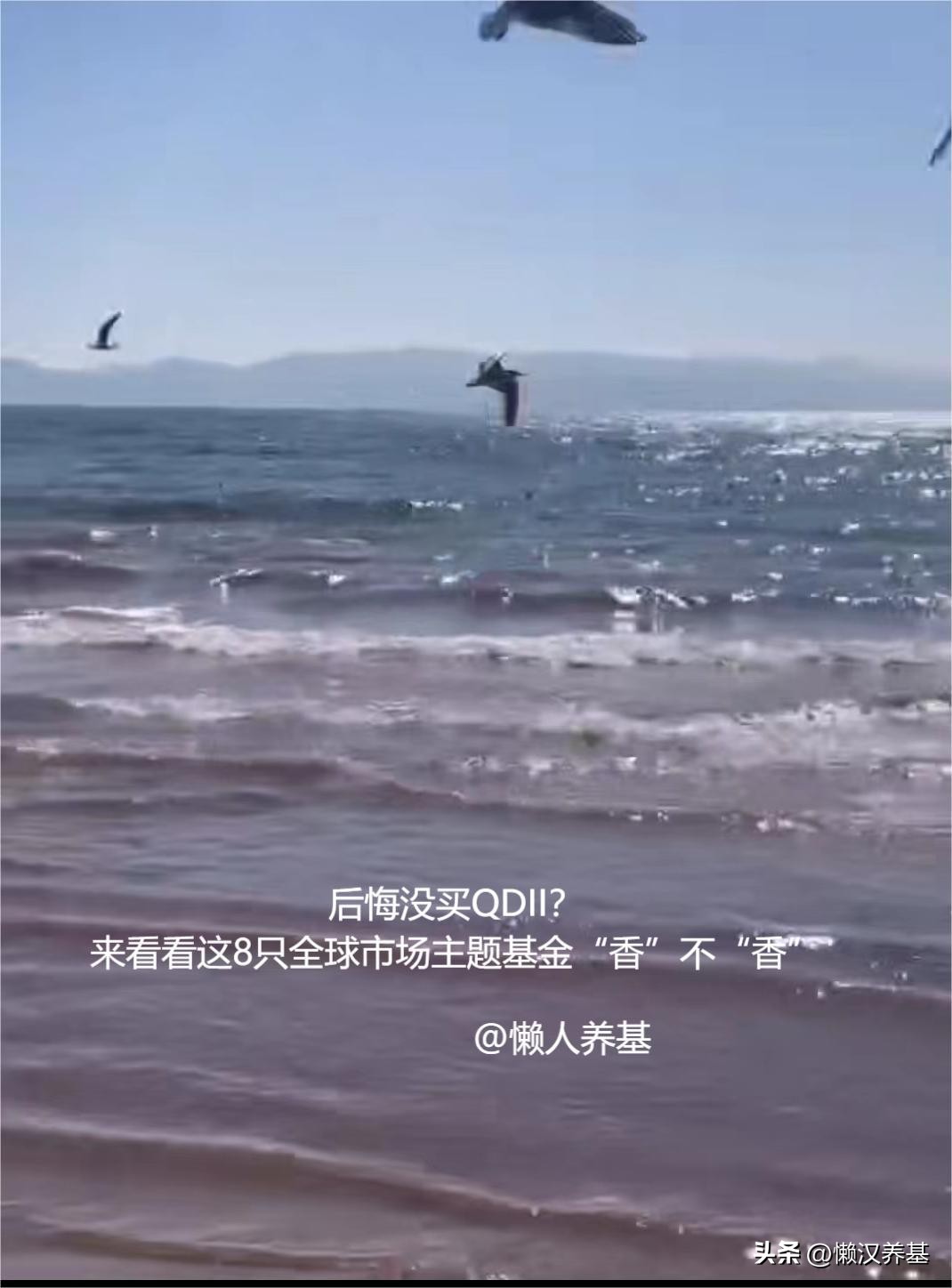 近五年最好的qdii基金,qdii基金值得购买吗