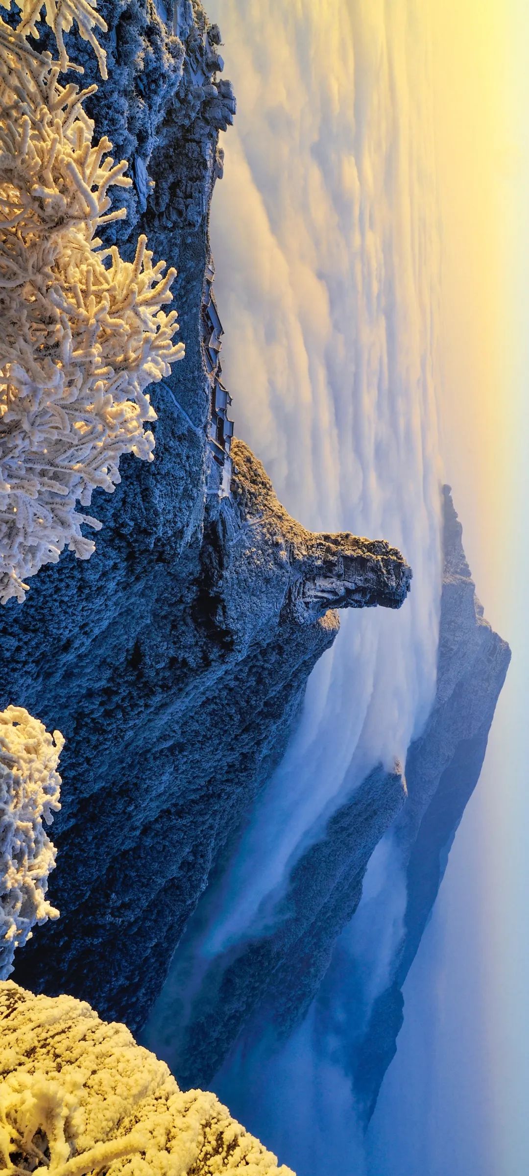 绿色狂想曲,绿色狂想曲三年级