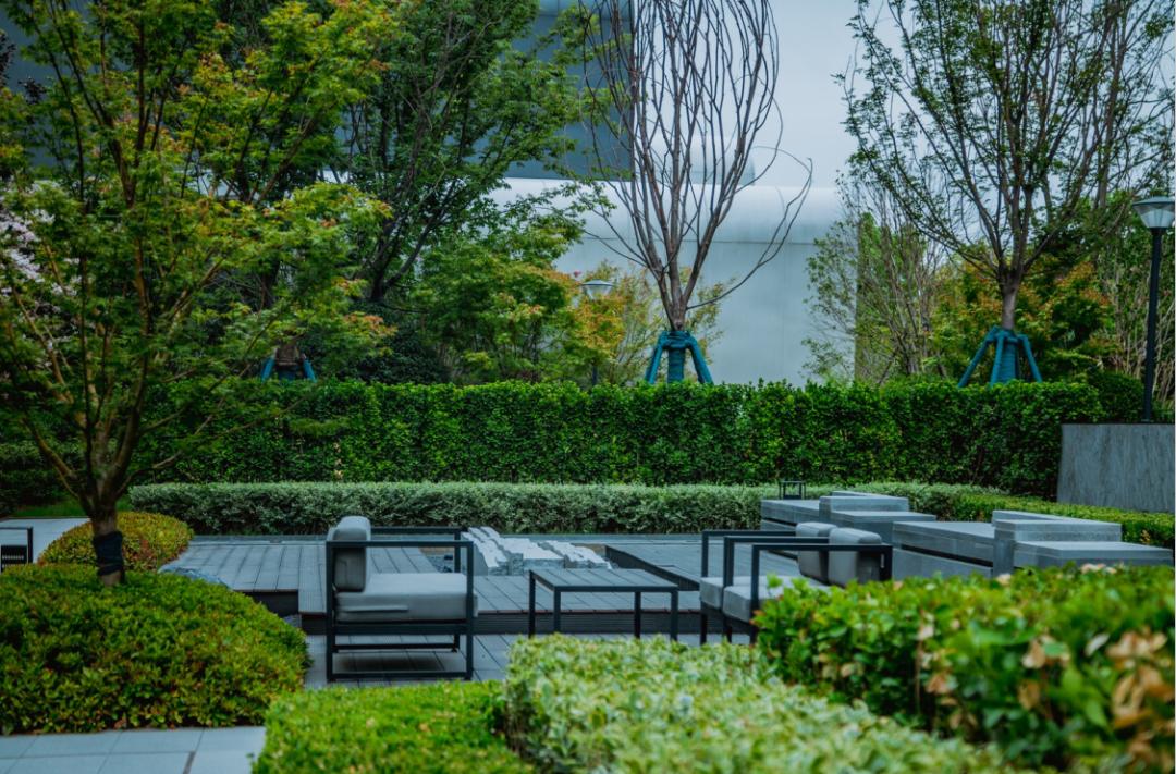 霸榜天宁！现象级红盘品质再升级！常州人沸腾了！