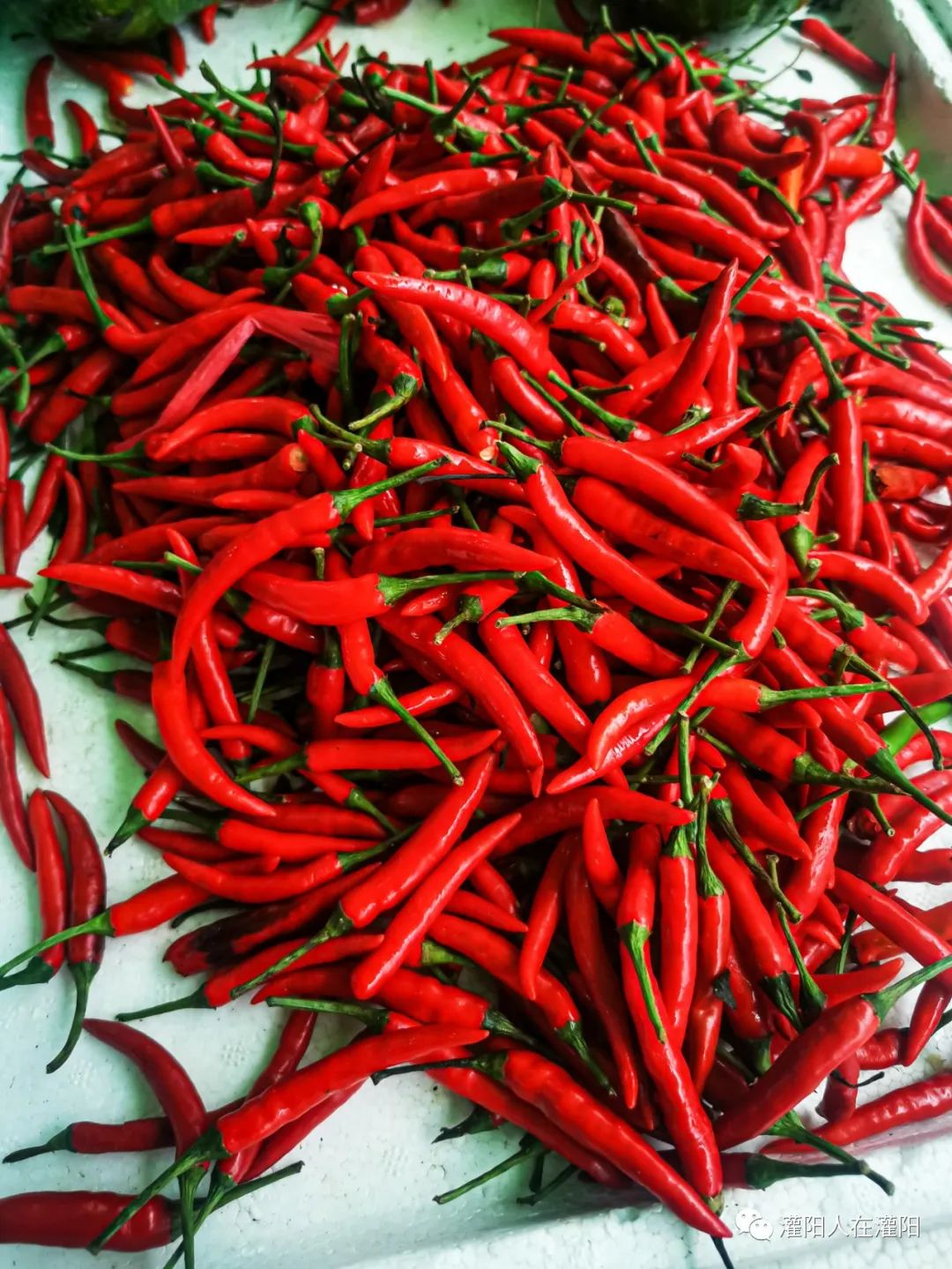 做酸坛子的视频,做酸坛有小气泡