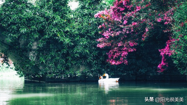 天蝎座在五月份做事的成功率,做事光明正大的星座